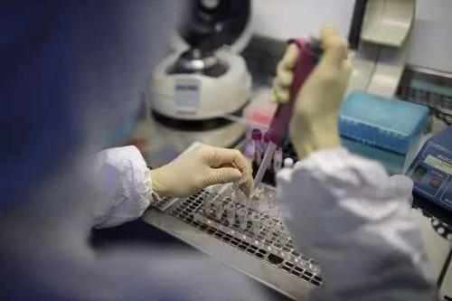 美国最新疫情新冠状病毒，挑战与应对策略